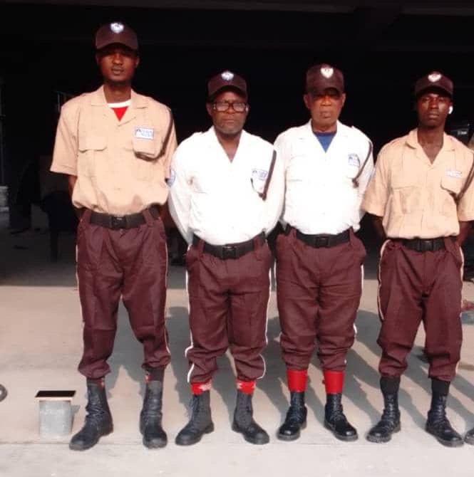 VIP protection detail